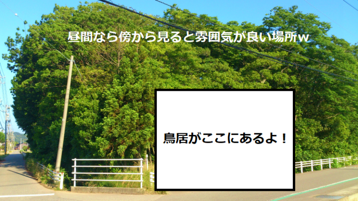 天狗の森：金沢市の心霊スポットを全く怖くない感じで解説